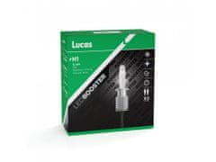 Lucas Lucas 12V/24V H1 LED žárovka P14,5s, sada 2 ks 6500K