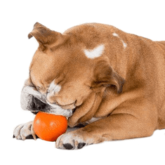 Planet Dog Orbee-Tuff Ball Squeak pískací 8cm oranžový