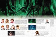 Efko Harry Potter Cesta Zapovězeným lesem – rodinná společenská hra