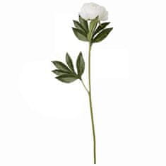 Lene Bjerre Pivoňka (Paeonia) bílá, 70 cm