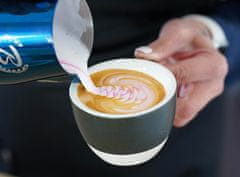 Allegria baristický kurz Latte Art