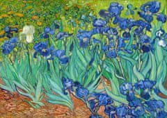 ENJOY Puzzle Vincent Van Gogh: Kosatce 1000 dílků