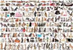 EuroGraphics Puzzle Svět koček 2000 dílků