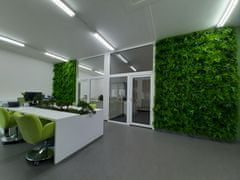 STUDIOGREEN Umělá živá zelená stěna KAPRADINA MIX, 100 x 100cm