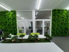 STUDIOGREEN Umělá živá zelená stěna KAPRADINA MIX, 100 x 100cm