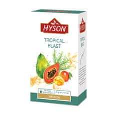 Hyson Hyson Tropical Blast, ovocný čaj (20 sáčků)