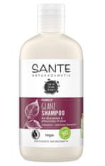 SANTE Naturkosmetik Sante, Organický šampon z březových listů a rostlinných proteinů, 250 ml