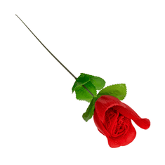 OOTB Tanga v růži Rose mit rotem G-String