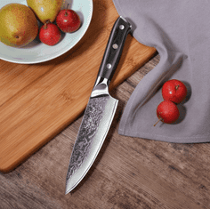 Sunnecko  Šéfkuchařský nůž 6.5" Sunnecko IŠAKAWA 73 vrstev damaškové oceli 