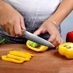 Sunnecko  Kuchyňský víceúčelový nůž 5" Sunnecko, 73 vrstev damaškové oceli 