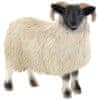 Bullyland Ovce Skotská Černohlavá 62718