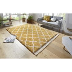 Mint Rugs Kusový koberec Desiré 103325 Gold Creme 80x150 cm