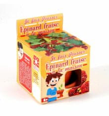 Radis et Capucine Mini zahrádka - veselý květináč - jahodový špenát