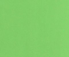 Ursus Barevný papír (10ks) a4 světle zelený 220g/m2,