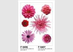 AG Design Samolepka na zeď, F 0406, Růžové květy, 65x85 cm