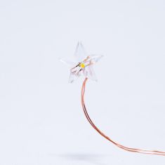 DecoLED DecoLED LED světelný řetěz na baterie - hvězdičky, teple bílá, 40 diod, 3,4 m