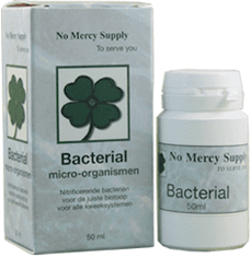 No Mercy  Bacterial, 50ml