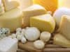 Bulgaricus  Kurz na výrobu domácích sýrů, jogurtů, tvarohu a mléčných výrobků