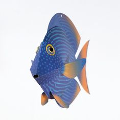 Plego Figurka mořské ryby STRIGOSUS - tvořící sada