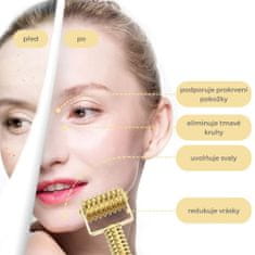BEUNIK Facial Massage Roller - barva: stříbrná
