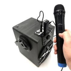 Media-Tech MT395 ACCENT PRO Dva bezdrátové mikrofony a USB přijímač pro reproduktory Karaoke