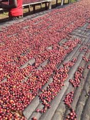 Coffee Source Káva - Ethiopia Suke Quto washed 250g na filtr
