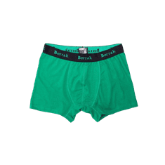 BERRAK Zelené pánské boxerky BR-BK-4476.28P_353309 M