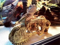 KOMODO Dekorace umělá - lebka T-Rex S 15x8x8cm