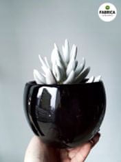 Polnix Keramický květináč černá koule 11 cm