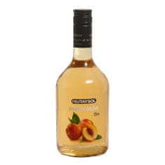 FRUTAYSOL Peach 0,70L - Nealkoholický likér s příchutí broskve 0,0% alk.