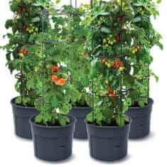 Prosperplast Sada 5X Květináč Na Pěstování Rajčat Tomato Grower 392X1530 Mm - Antracit