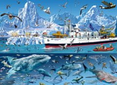 Blue Bird Puzzle Arktida: Loď Bluebird 1500 dílků